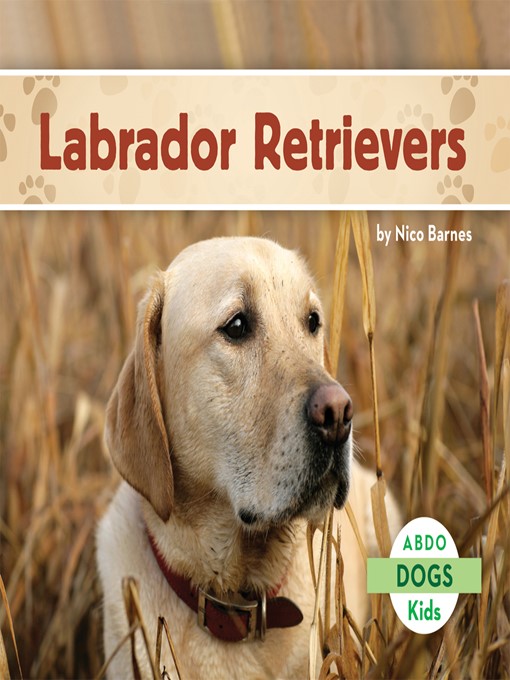 Nico Barnes创作的Labrador Retrievers作品的详细信息 - 可供借阅